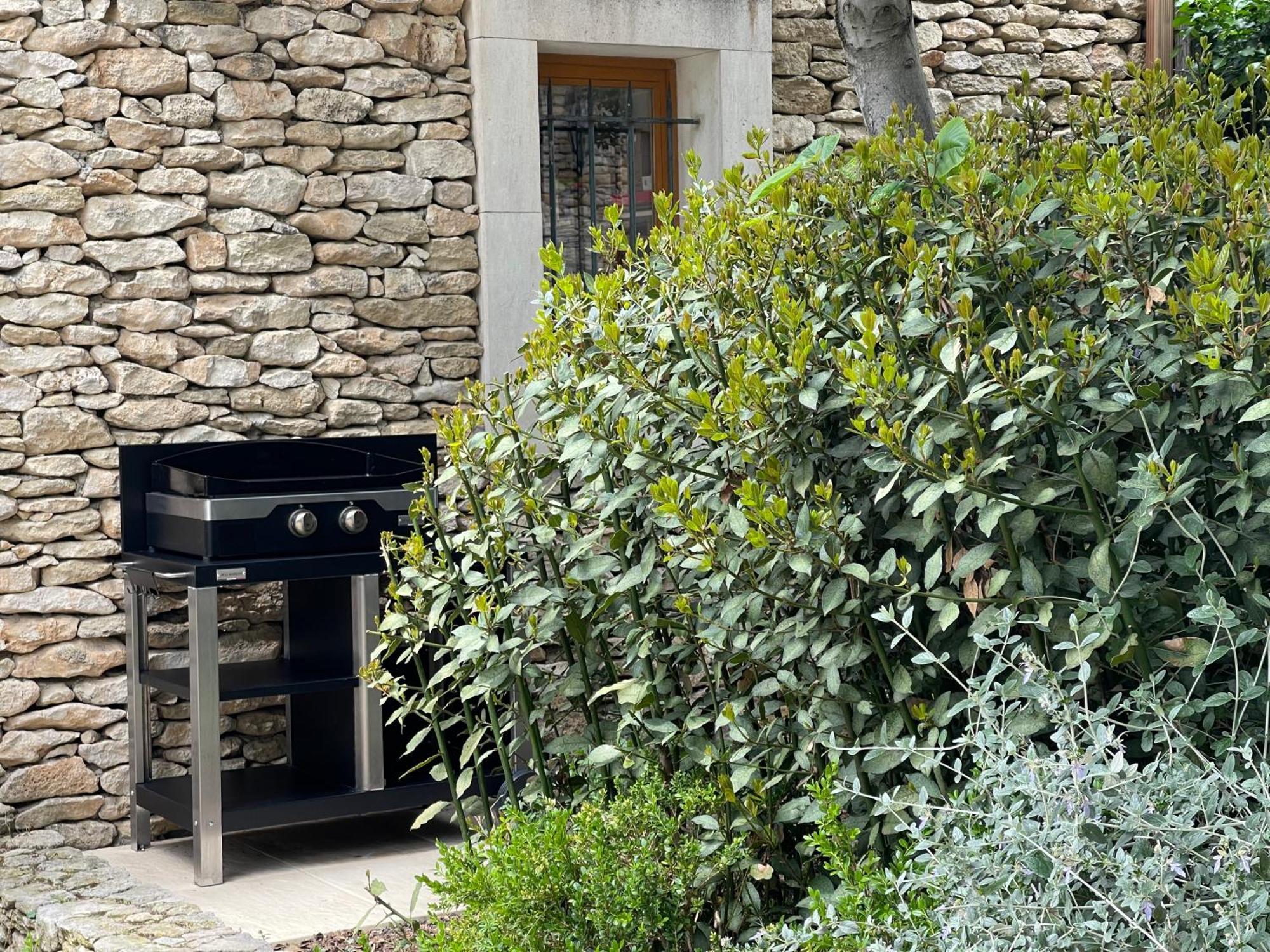 La Villa Baronnette Cabrières-dʼAvignon Extérieur photo